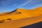 The soft curves of sand dunes