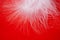 Soft defocused background white feather on red