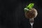 Soft dessert cheese with French herbs on a fork. Photo on a black background. Mint leaves on top. Copy of the space