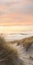Soft And Dreamy Scottish Landscapes: Sandy Dunes At Sunset