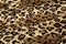 Soft fabric texture with leopard spots