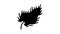 soft feather fluffy glyph icon animation