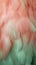 Soft feathers in pastel colors in shades of pink, peach, and green. Feathers texture background. Use as Backdrops for