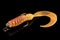 Soft fishing bait, silicon grub for predatory fish, with double hook isolated on black