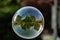 Soft focus of a bubble with reflection of city buildings and trees on it