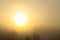 Soft focus. Early morning. The sun is very bright. Very thick and heavy fog