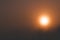 Soft focus. Early morning. The sun is very bright. Very thick and heavy fog