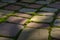 Soft focus garden path of rectangular stones of yellow, red and gray colors. Bright green moss grows between the stones.