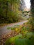 soft focus, a guided hiking trail through the forest in autumn with beautiful nature