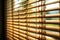 Soft focus highlights the allure of bamboo, venetian, and chick blinds