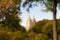 Soft focus image of trees and folliage in Central park, NY