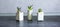 Soft focus photo. Tiny succulents in concrete plant holders in kitchen. Small cactus and moss in handmade vases of different