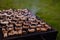 Soft focus of prepared portabella mushrooms stuffed with cheese on a grill