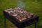 Soft focus of prepared portabella mushrooms stuffed with cheese on a grill