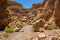 Soft focus sand stone canyon passage between rocky mountains dry global warming scenic view concept in Israeli desert Negev