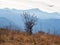 Soft focus. Scenic sunny mountain landscape with light fog in valley among mountains silhouettes under evening sky. Vivid sunset