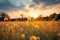 Soft focus sunset meadow Yellow flowers, grass, tranquil nature
