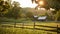 Soft focus on a tranquil rural setting capturing the idyllic charm of a sustainable organic farm and its commitment to