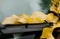 Soft focus on yellow foliage covering windshield of car parked u