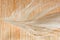 Soft, gentle feather on a wooden surface macro