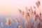 Soft gently wind grass flowers in aesthetic nature of early morning misty sky background. Quiet and calm image in minimal zen mood