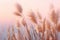 Soft gently wind grass flowers in aesthetic nature of early morning misty sky background. Quiet and calm image in minimal zen mood