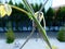 Soft green nature background with bright green climbing plant attached to twisted wire cable mesh at high elevation