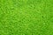 Soft green porous texture, surface.