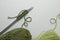 Soft green yarns, knitting and metal needles on light background, flat lay