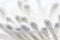 Soft image,cotton buds on white background