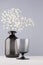 Soft light elegant home decor in minimalist style - black transparent vase with flowers branch, glass on grey wall and white wood.