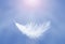 Soft and Lightly of White Feather Floating in The Sky. Abstract Feather Flying in Heavenly.