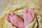 Soft newborn baby feet