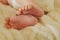 Soft newborn baby feet on the light background