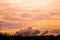 Soft orange clouds sky and grass