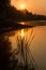 A soft orange sunrise over a calm lake overgrown with water lilies