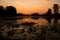 A soft orange sunrise over a calm lake overgrown with water lilies