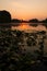 A soft orange sunrise over a calm lake overgrown with water lilies
