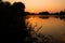 A soft orange sunrise over a calm lake overgrown with water lilies