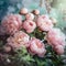 soft pink peonies flowers background
