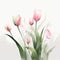 Soft Pink Tulip Arrangement on White Background for Modern Style Invitations.