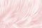 Soft pink, white feathers texture background