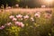 Soft pink wildflowers basking in golden light