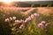 Soft pink wildflowers basking in golden light