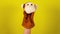 Soft puppet toy on hand on yellow background. Concept of puppet show. Close-up of hand with puppet monkey.