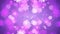 Soft Purple Floral Background. Flowers Spreading Out On Purple Gradient