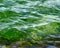 Soft ripples on water surface in colors of Emerald Green and Gold