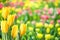 Soft Spring Floral Background