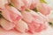 Soft tender tulips of Salmon, pale pinkish orange, light pink color with dew close-up. Spring flowers, abstract romantic