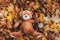 Soft toy animal Teddy bear lie on autumn leaves in natute and keeps the alarm clock